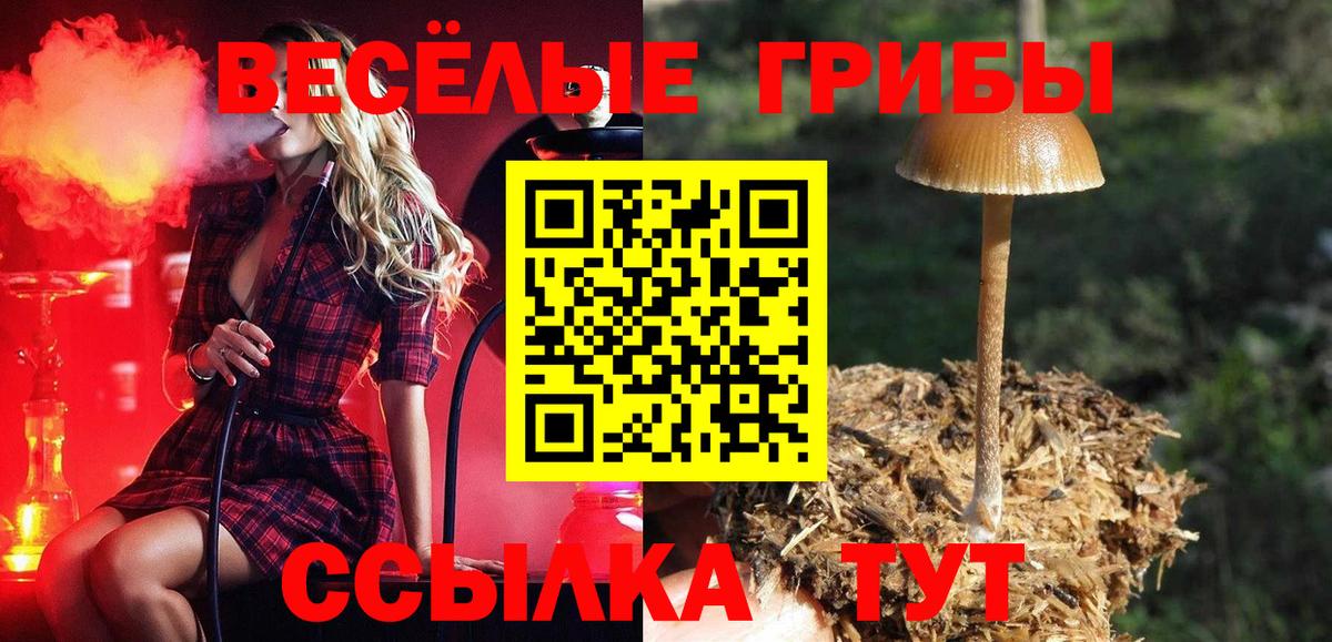 Псилоцибиновые грибы MAGIC MUSHROOMS Анжеро-Судженск